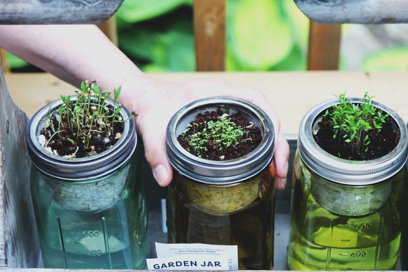 reuse jars for plants
